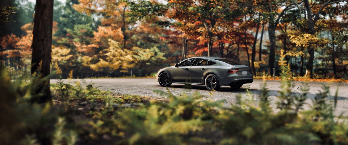 M600_909_IF's tweet photo. │ Forza Horizon 6
│ Audi RS 7 Sportback

#ForzaHorizon6
#CFVP｜#VirtualPhotography https://t.co/83v9BrADWi