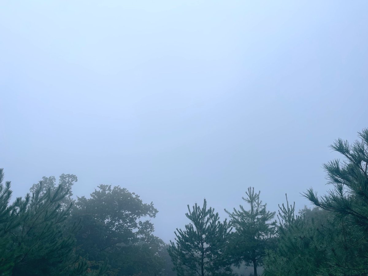 transeporter08's tweet photo. 本日は雨のため近場の里山で軽くラン。
真っ白でした。
さて、森下さんのストーリーズ。
改めて森下さんは周囲から愛されている人だと実感。
森下さんは相手の話をしっかり聞き、誰に対しても誠実で思いやりのある振る舞いができる人。
「愛される資質」は良い政治家の重要な要素の一つです。 https://t.co/AZduyZ3pgC