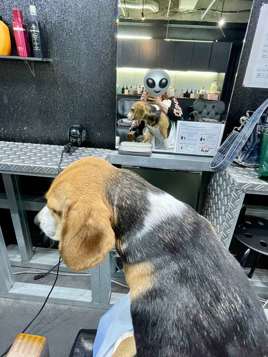 alc88pct's tweet photo. お世話になっている美容室の接客レベルがあまりにも高すぎる https://t.co/xutwPWo0Ml