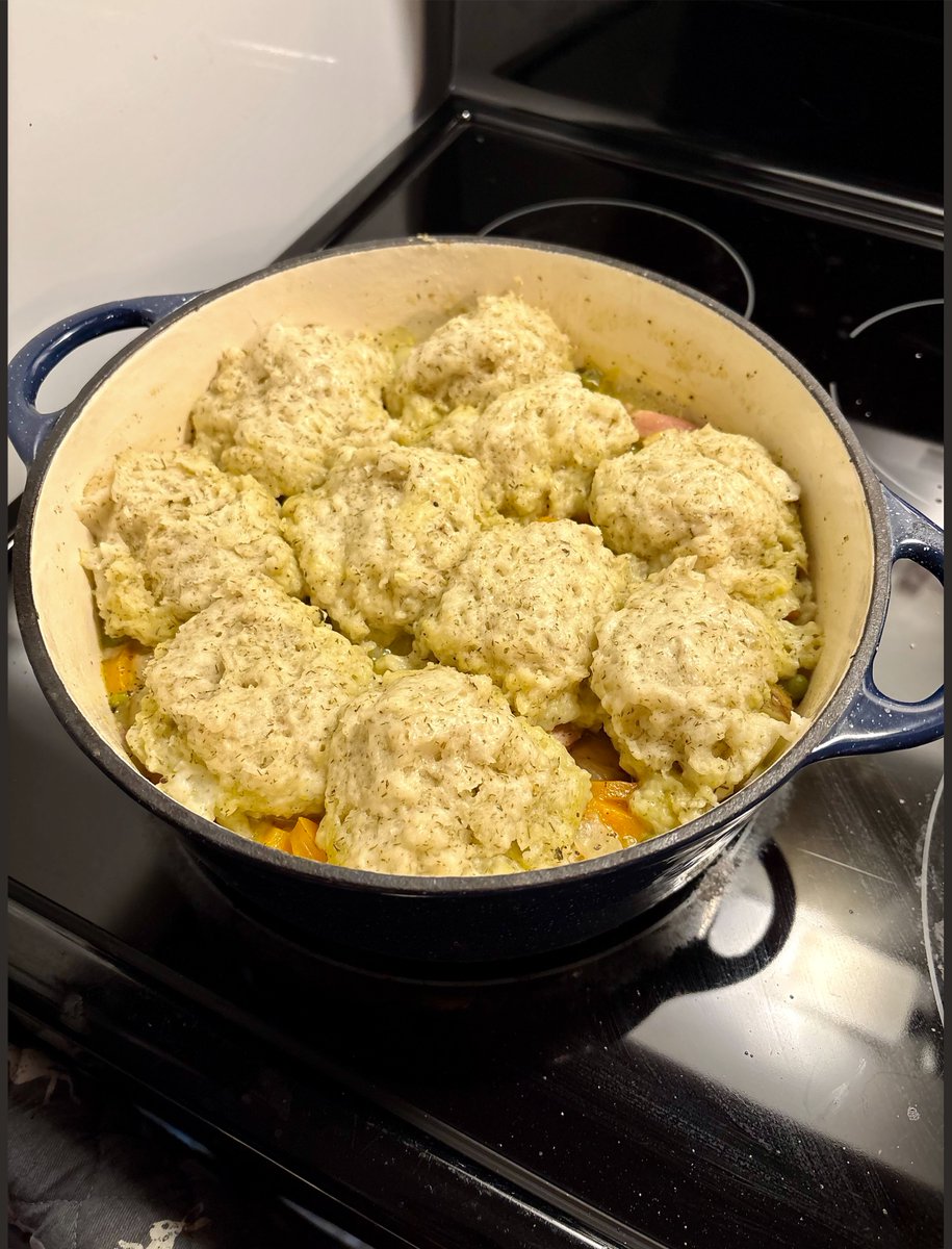 DonJamesTrades's tweet photo. Homemade chicken stew in the Dutch oven. The dumplings have dill cooked in. https://t.co/ZpY0gNfLsD