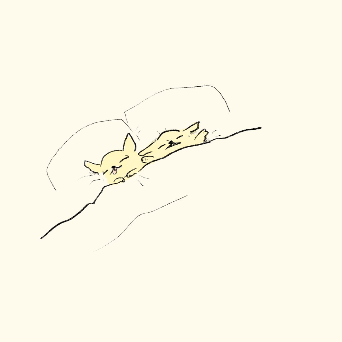 riposhima's tweet photo. zzz... https://t.co/tOuYCSrGiB