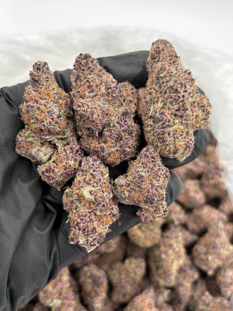 budmattz's tweet photo. Purple Cherry 🤯

https://t.co/2bhw7kWXUh https://t.co/5az3LNIQAx