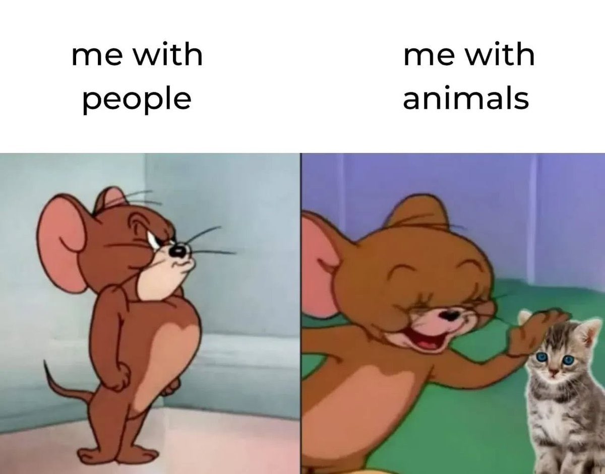 AnnaSmithbg7l's tweet photo. I just connect better with animals. 🐾 They don’t talk over you.
They don’t drain you. And they’re always happy to see you.
Tell me I’m not the only one. 😅 https://t.co/5FhTWQeHde
