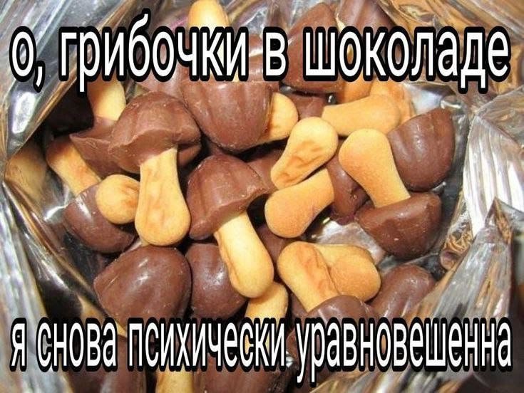 Tazzmoeq2d's tweet photo. Купите мне грибочки в шоколаде😭 https://t.co/cgZabQIDDj