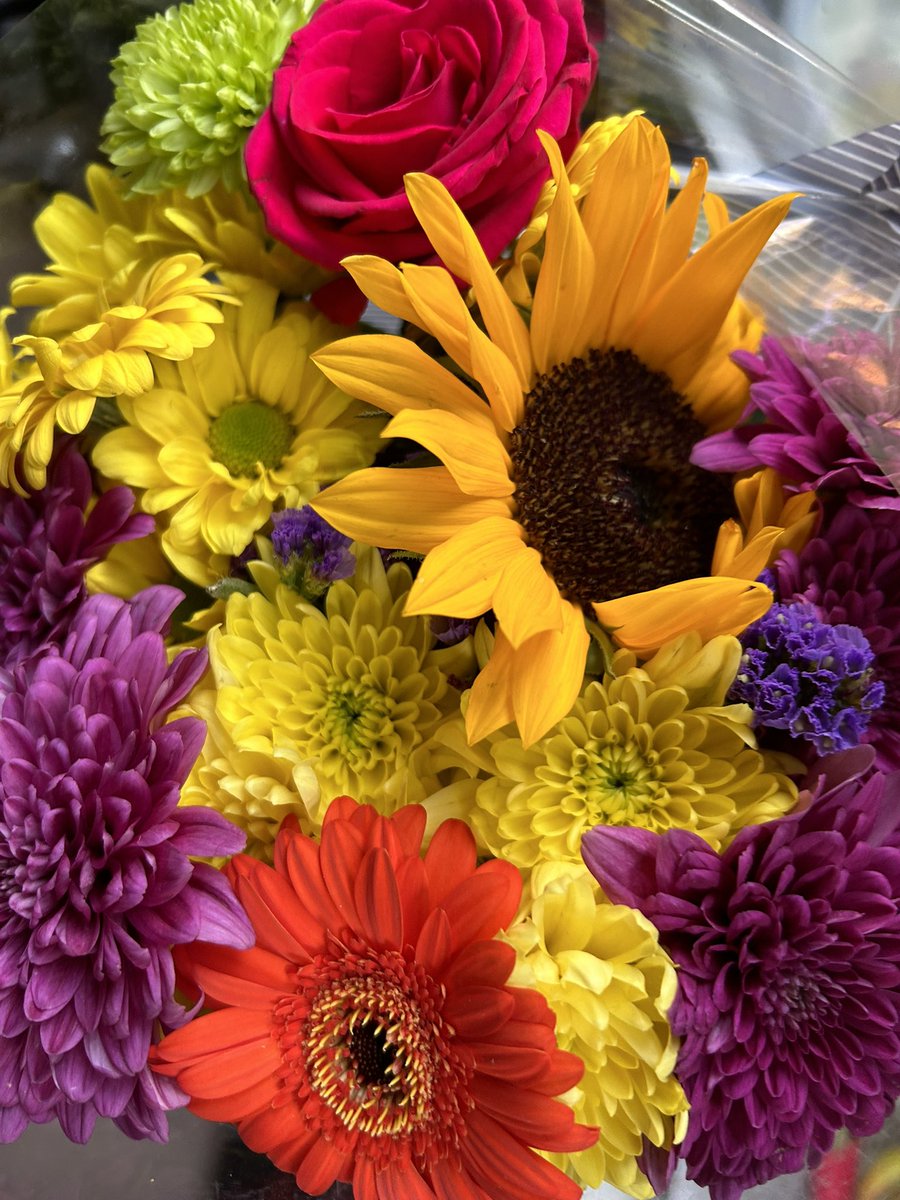sheconservative's tweet photo. @DailyPicTheme2 💐 #DailyPictureTheme #UpliftingColours https://t.co/fBVzZMTvBF