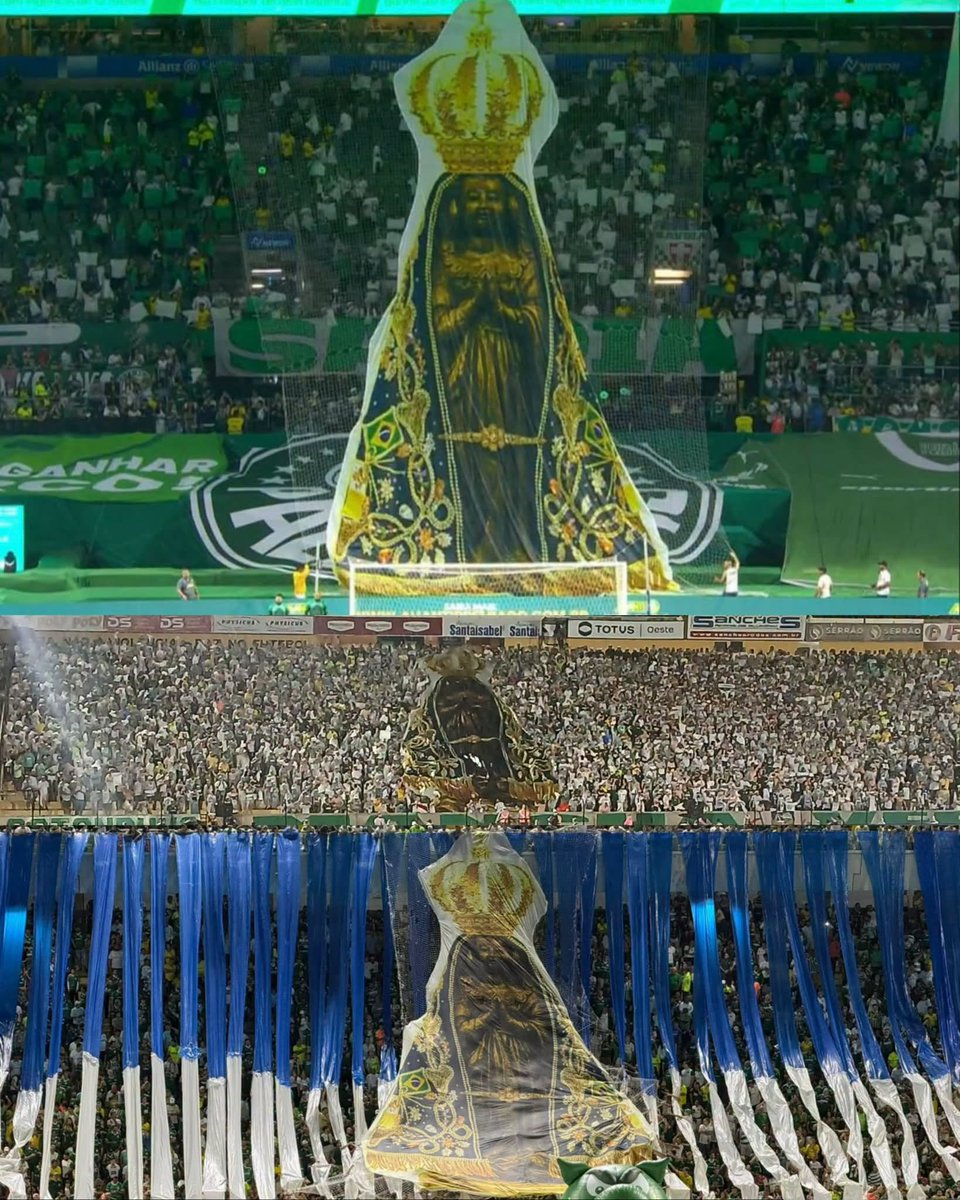 marcos_edu89's tweet photo. 💚 https://t.co/9WAetMl9Y1