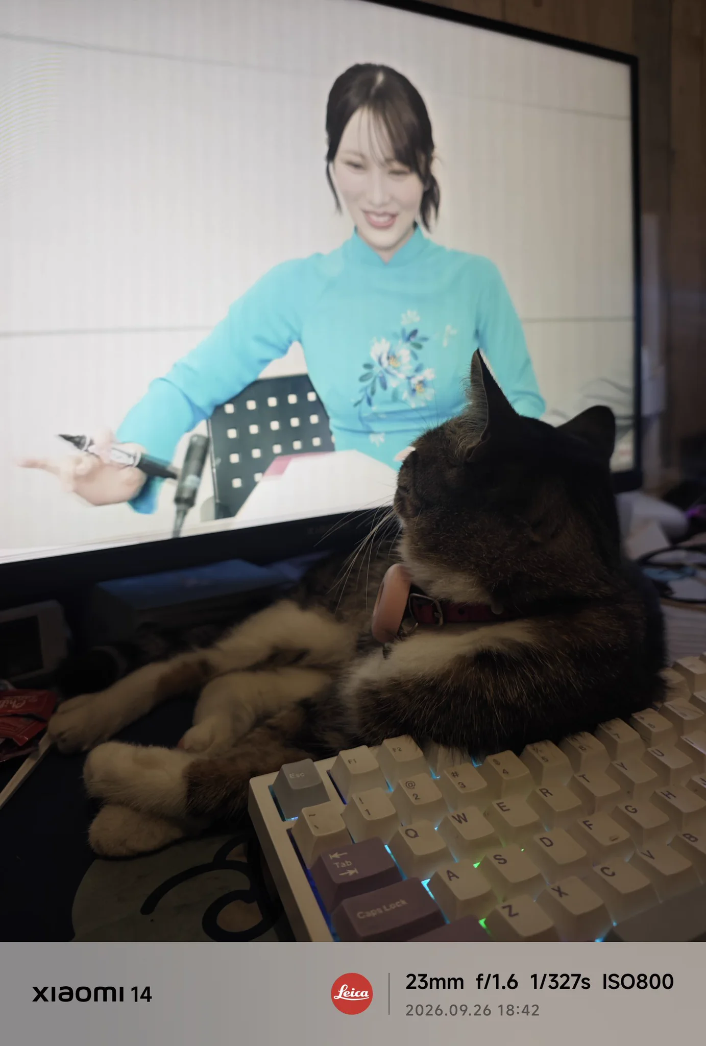 逢田 珠里依στο X: 