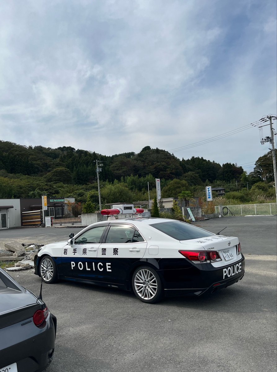 OezMvqtKgv30233's tweet photo. レーダーパト三陸道にもいるんですね。
北海道にいるイメージしかなかったなぁ… https://t.co/wKuGpWZfkk