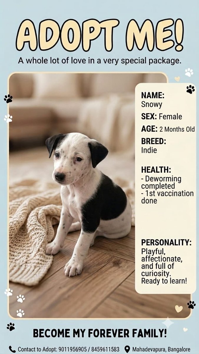 kaalicharan's tweet photo. Bangalore puppy adoption! 🐶 https://t.co/juSvzAPg7B