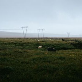HortenseJayea's tweet photo. Iceland, where the world feels beautifully untouched. https://t.co/ijk8LNw8Jv