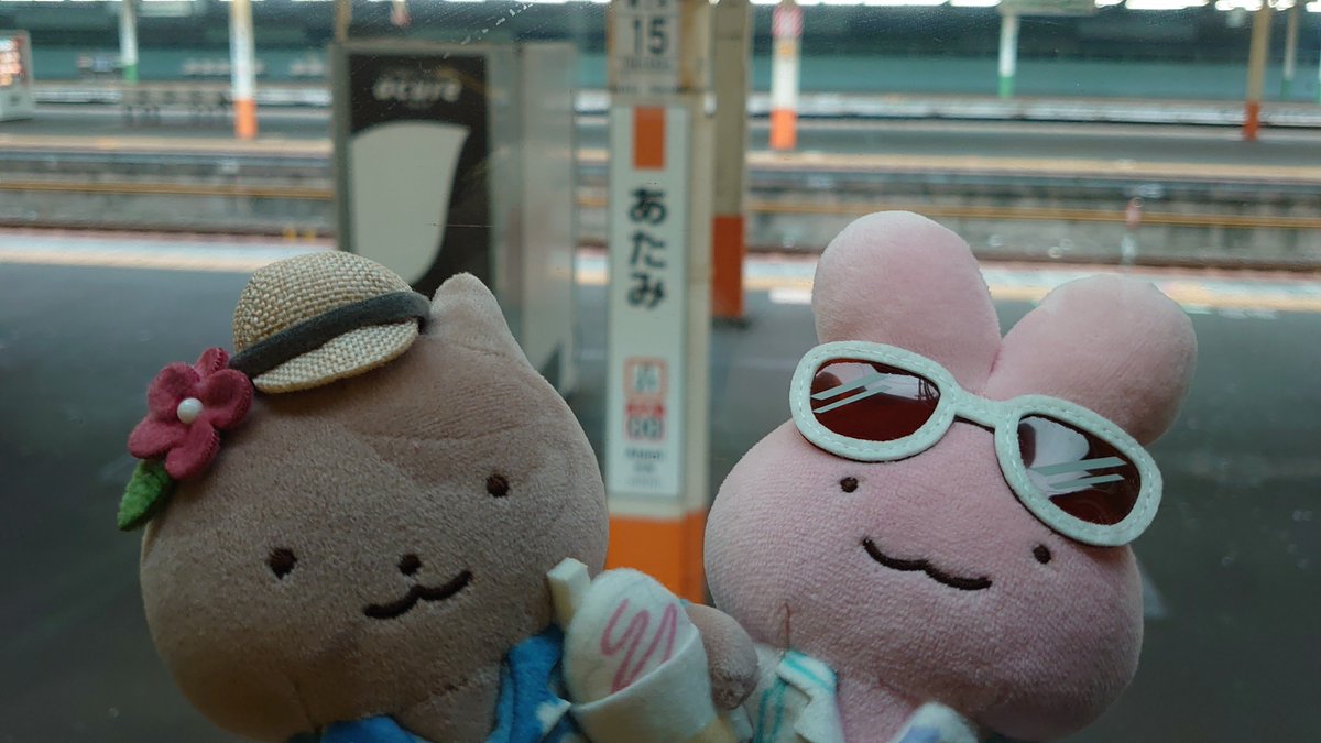 white1711's tweet photo. ぬい活も頑張った！ https://t.co/QTpSoGdoIr