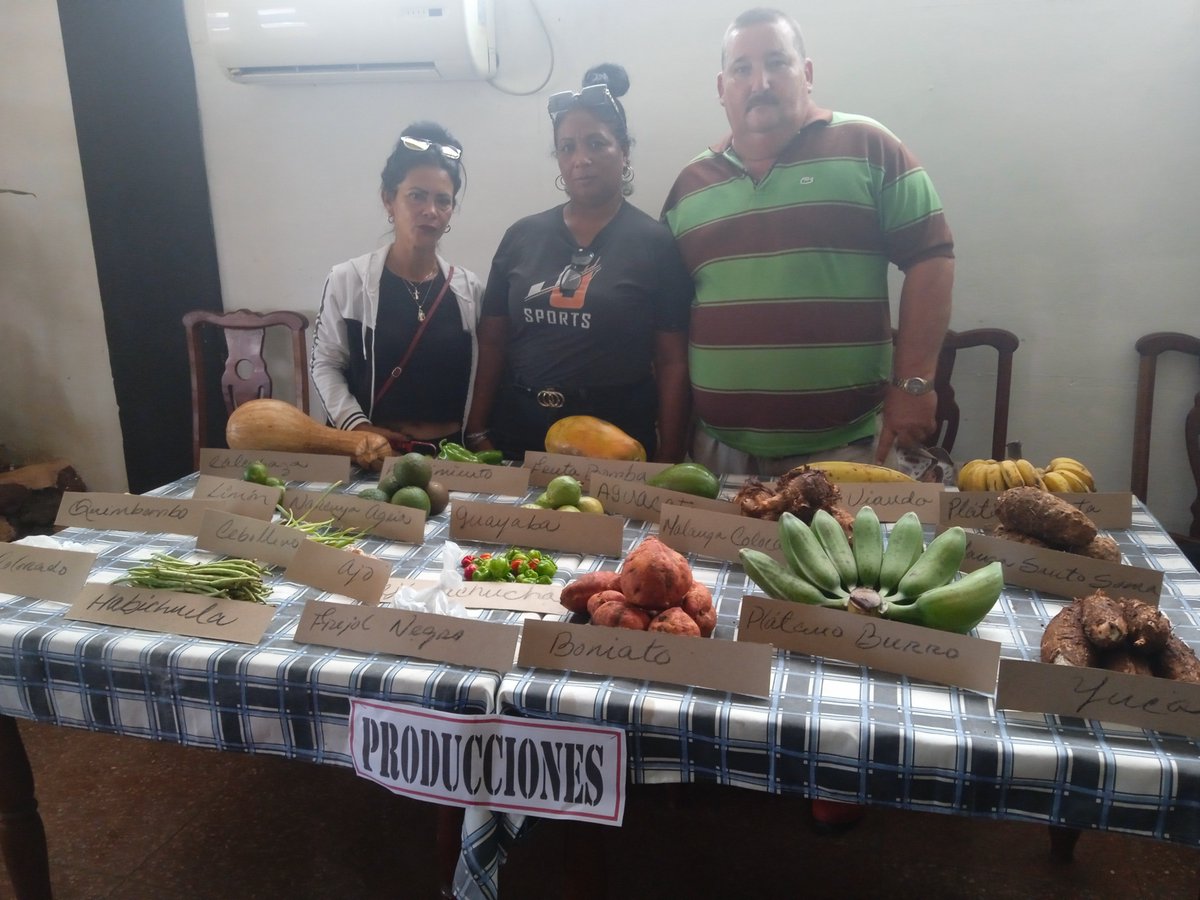 yareikis36662's tweet photo. #Mayabeque Por compleja que se presente la situación económica, esto demuestra que siempre se pueda hacer más para producir alimentos para el pueblo, todo por un #BarrioProductivo https://t.co/8CygSgRvRX