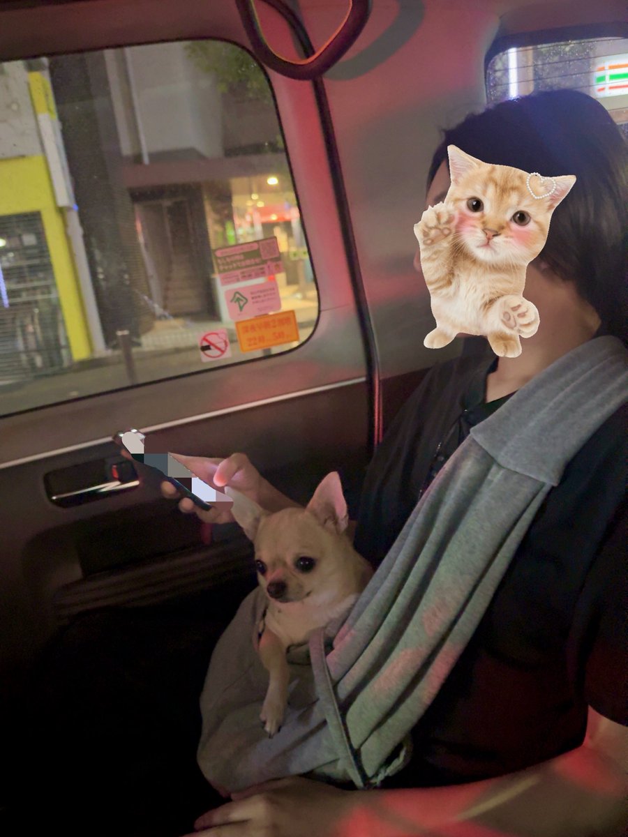 9xilvw's tweet photo. 愛おしいが2匹🐕🐈‍⬛ https://t.co/dtiIBpNoH0