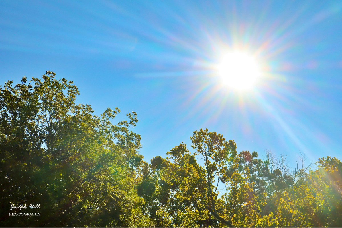 JosephHill3794's tweet photo. Sunrise☀️🌳
#September2026
Photo By: Joseph Hill🙂📸☀️
#sunrise #bright #morning #bluesky #daylight #sunlight #nature #trees #summer #beautiful #peaceful #sunrisephotography #NaturePhotography #SouthernPinesNC #September https://t.co/zVZwNjrmbh
