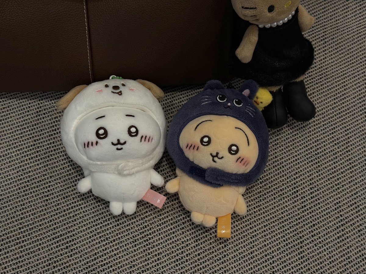minich0ux's tweet photo. ㄱㅇㅇ🫰🏻🫰🏻 https://t.co/UVweOjg3SL