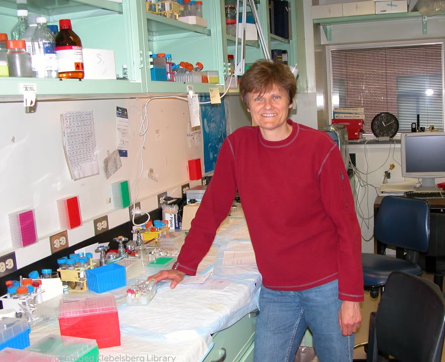 NobelPrize's tweet photo. “You have to focus all the energy you have to spend, to seek out, ‘What next? What I can do?’” said medicine laureate Katalin Karikó.

Learn more about her inspirational approach to work: https://t.co/pjAljbTCIh https://t.co/ajBWzDp2BP