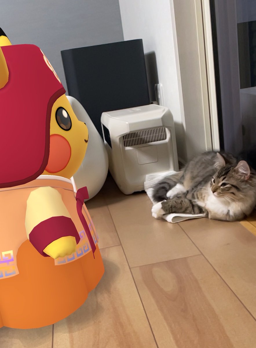 56u57's tweet photo. 韓国ピカチュウ🌟
こんばんは🐈 https://t.co/maIn1IhsVC