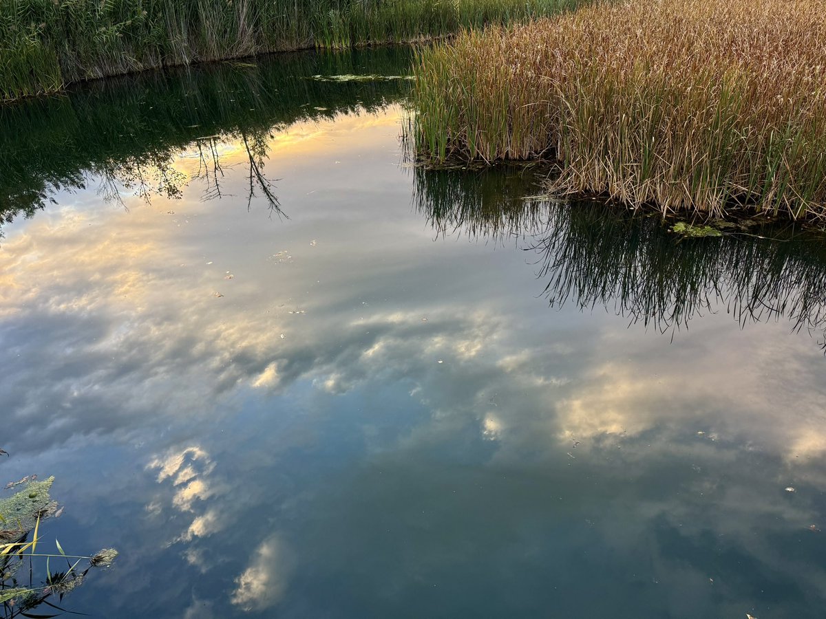 BryanMarquard's tweet photo. The morning sky reflected in nearby Mink Brook. Have a good weekend, folks. #morning #saturday https://t.co/NmR1N1nEn2