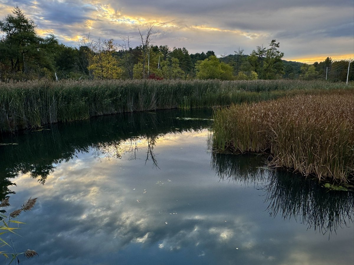 BryanMarquard's tweet photo. The morning sky reflected in nearby Mink Brook. Have a good weekend, folks. #morning #saturday https://t.co/NmR1N1nEn2