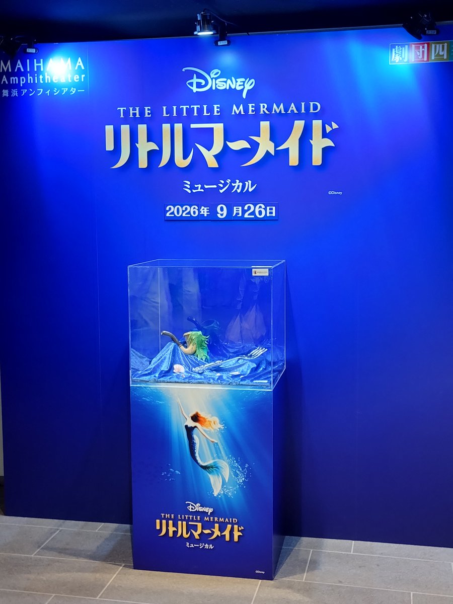 ruke0205's tweet photo. 2026.09.26ソワレ　リトルマーメイド

二週間後は、志音さんアリエル、武藤さんエリック！

安定感ある、お二人の声の伸びやかさに、どっぷり浸れる幸せ😍

ショップの混雑も、落ち着きましたね。 https://t.co/y2DtjORNv2