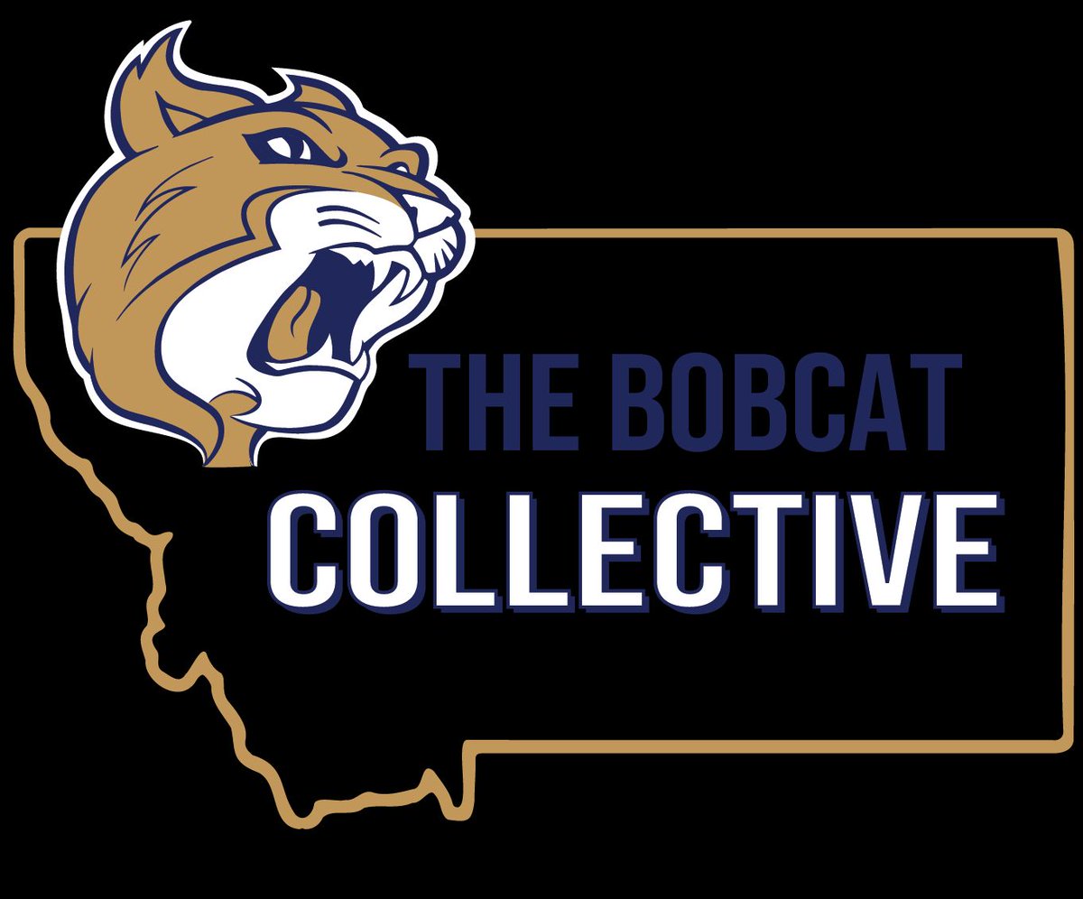 SkylineSportsMT's tweet photo. @Colter_Nuanez @Brooksnuanez @88tomcat @s_akem18 It's a recent trend that if the Bobcats fumble and the other team recovers it, #MSUBobcatsFB will then find a way to rally and win. That's not typical.

@88tomcat has more about that resilience  

https://t.co/61xvGXGZbl https://t.co/OxGxUVukb0