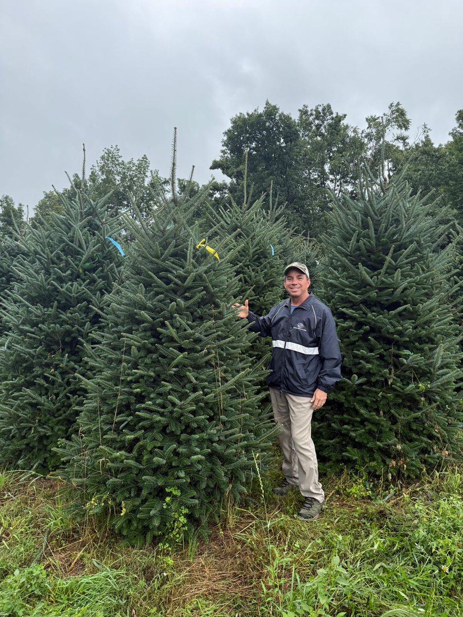 BGCMia's tweet photo. #DidYouKnow that every Fraser fir tree at the Thoma Bravo Christmas Tree Lot is hand-selected in North Carolina by Boys &amp; Girls Clubs of Miami-Dade President Alex Rodriguez-Roig? Talk about picking the perfect tree.

#holidaymagic #christmastreelot #greatfutures #futureready https://t.co/FlKkjJEQjO