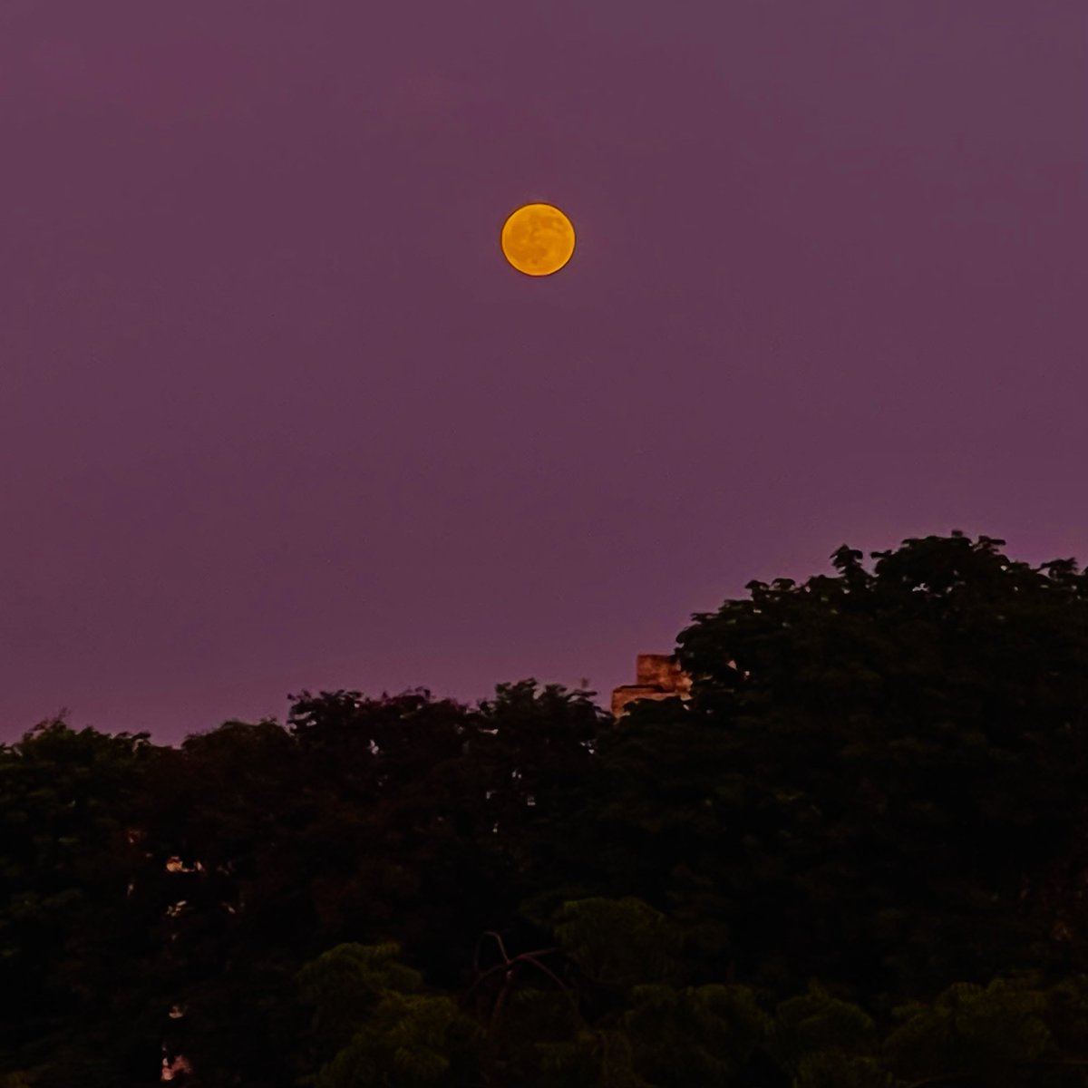 mansebanjaran's tweet photo. Harvest moon 2026 https://t.co/m1m7o3cKMP