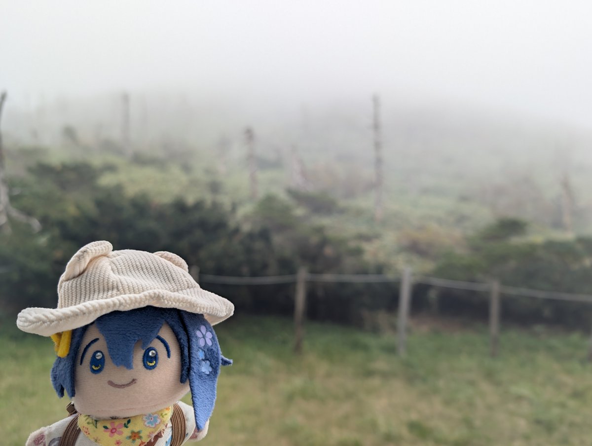 shiroiwashi's tweet photo. 樹氷の時期と、今日のbefore→after
だいたい同じどころで撮ってる。あと、歩歴 https://t.co/LJ847y3fpW