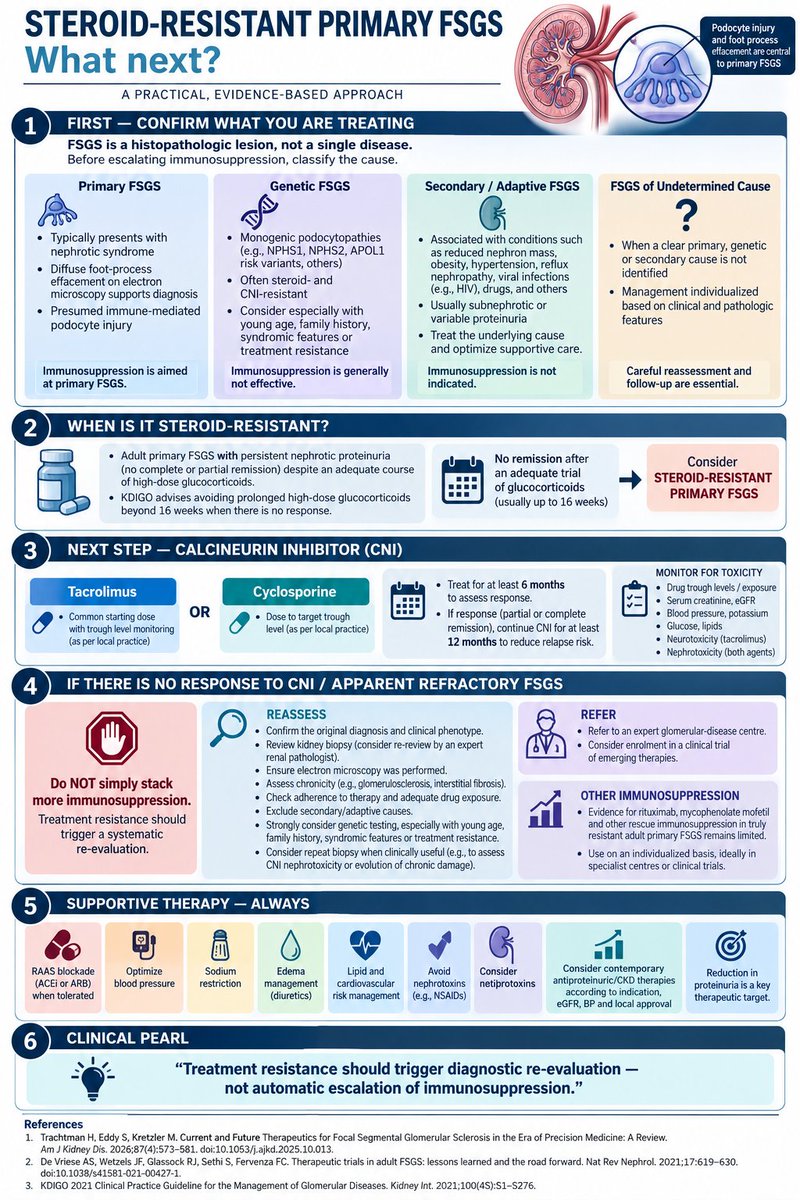 Anaghashreyas's tweet photo. 🚨 Steroid-resistant FSGS: what next?
💊 CNI isn’t the end of the algorithm.
🔍 No response? Reassess the diagnosis.
🧬 Think genetic/secondary FSGS.
���️ Don’t blindly stack immunosuppression.
Treatment resistance = time to rethink. 🫘
#FSGS #NephTwitter #MedTwitter #FOAMed https://t.co/jHyq6C0b8w