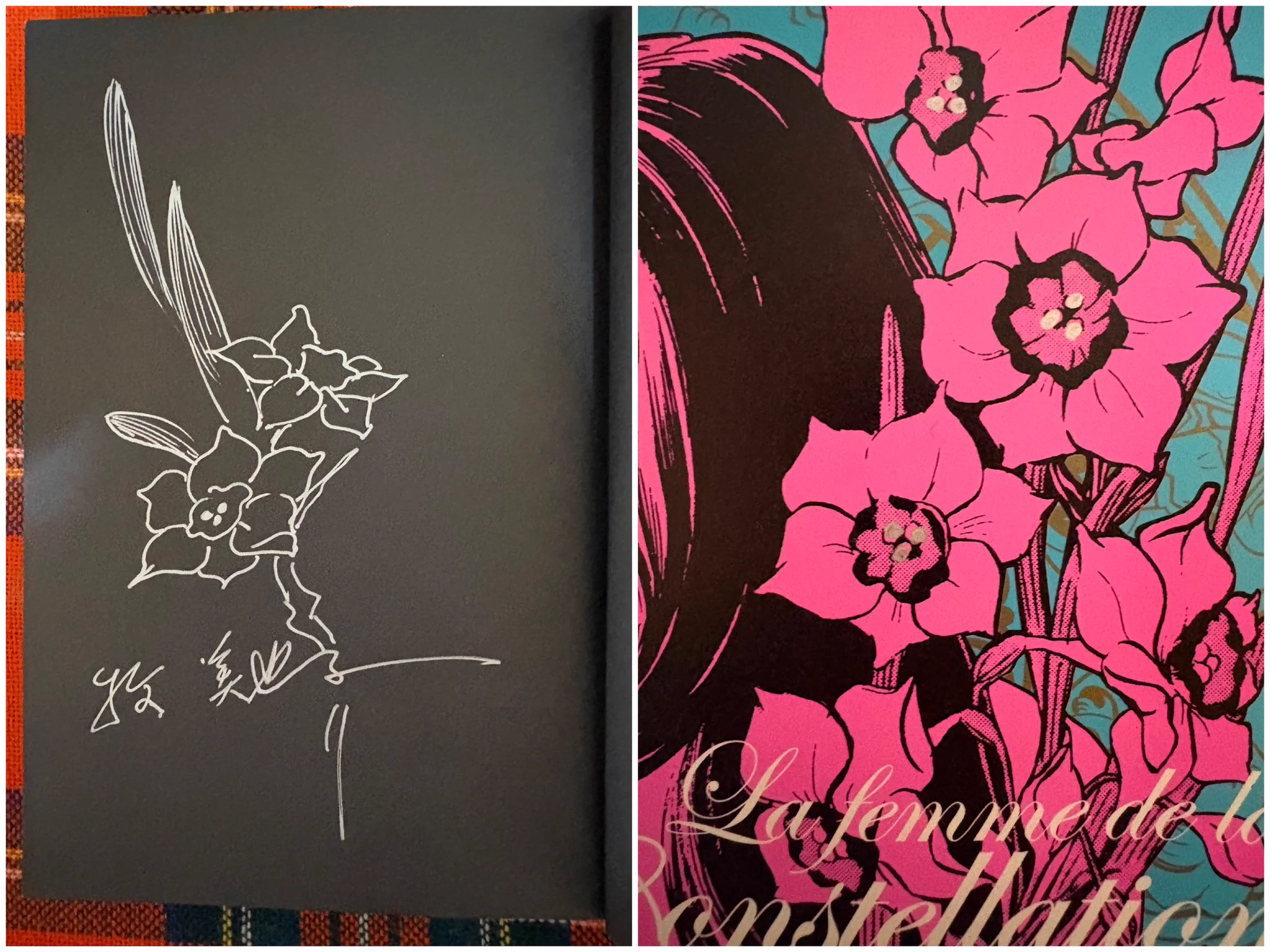そらいろの樹🌿🕊️ on X: 