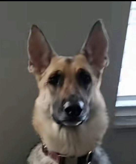 butt_doc tweet picture