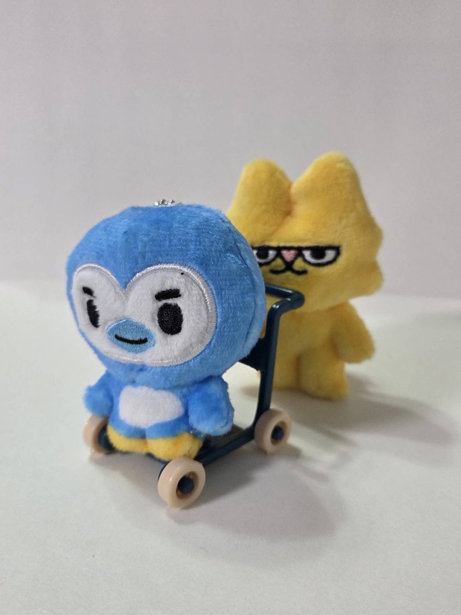 alice00_oo's tweet photo. かわいい、、すごくかわいい、、、 https://t.co/8uKAFXvUew