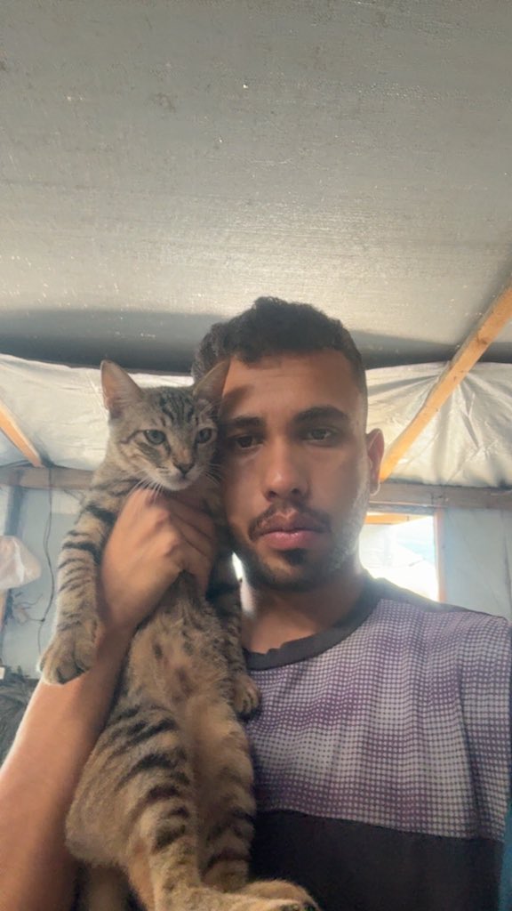 Mo7mmd30's tweet photo. My cats and i are still alive here in Gaza🇵🇸 https://t.co/Bict9NPYfP