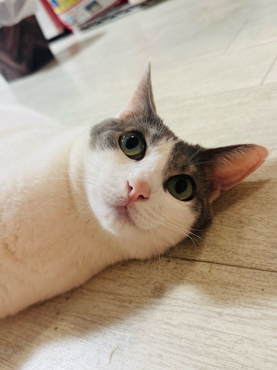 keidriveryoshi's tweet photo. ひらめいた https://t.co/Npgnlag7Hh