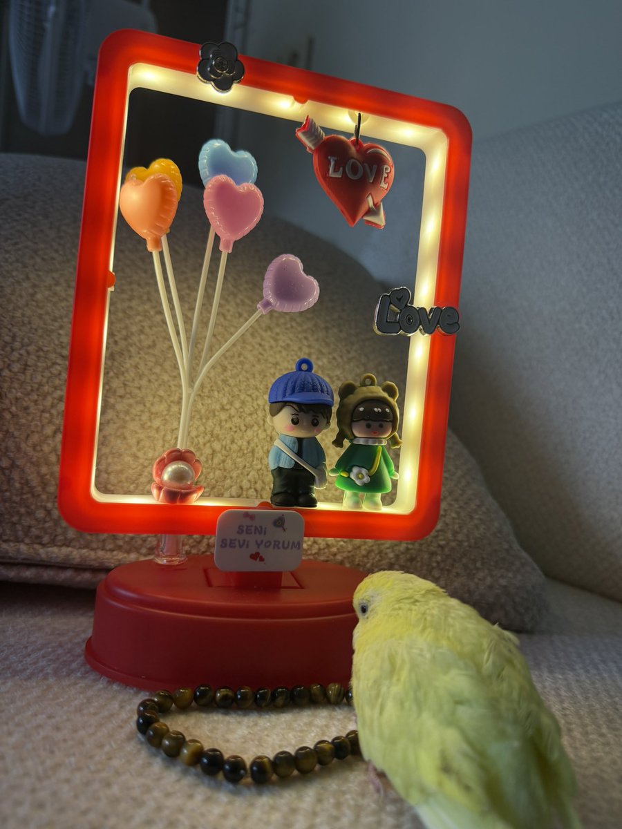 mrtcnctnky's tweet photo. 💛🦜 https://t.co/qTfqoGJD9X