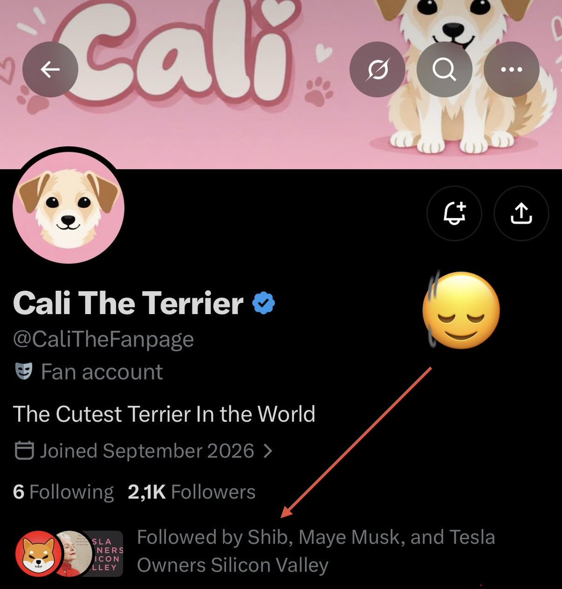userofthedoge's tweet photo. I won’t say anything more. Just look at the follower list of $CALI’s X account.
This is the next super dog. https://t.co/Wts4tG3Ep2