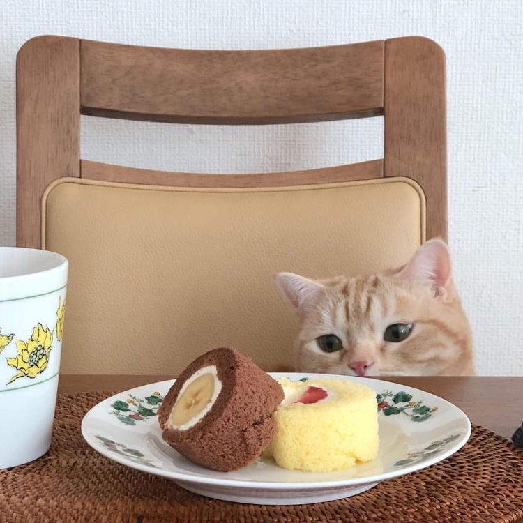 Falco3104cor's tweet photo. あなたがたの会った試練はみな人の知らないものではありません。神は真実な方ですから、あなたがたを、耐えられないほどの試練に会わせることはなさいません。むしろ、耐えられるように、試練とともに脱出の道も備えてくださいます。（第1コリント10:13） https://t.co/NNshC8T6M8