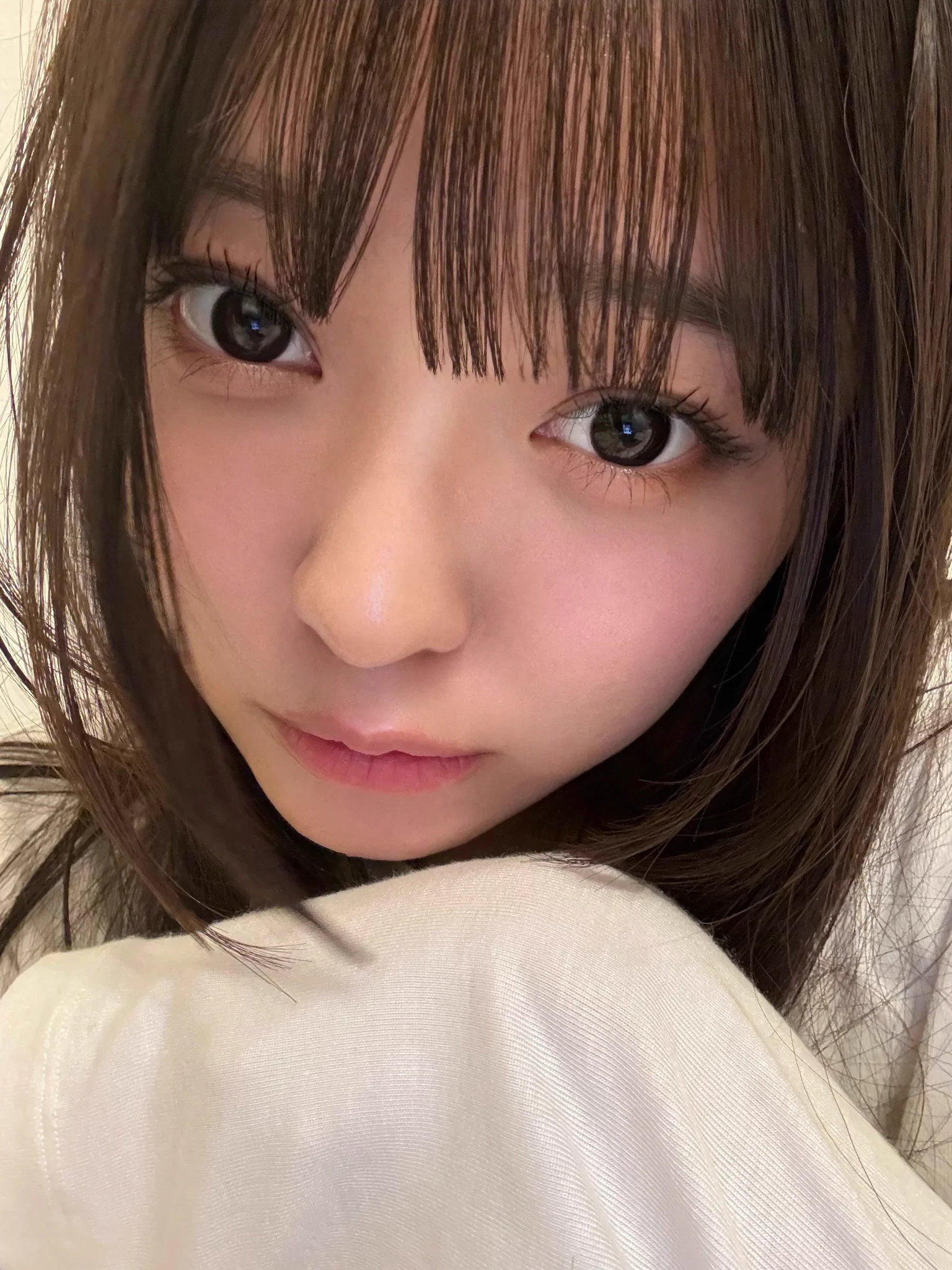 すずめ ｰ INUWASI (@SUZUME_INWS) / X