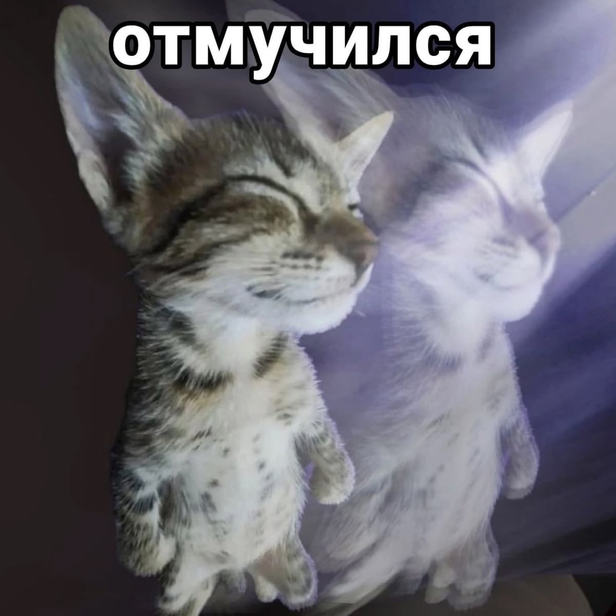 Girovell's tweet photo. Больше никаких подарков учителям в канве https://t.co/uB6TqMfAgi