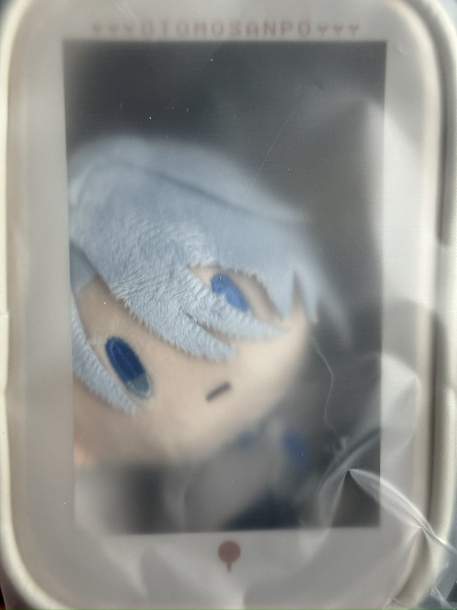 teiko_s's tweet photo. 追いくじしてお迎えできたちょぎ🥰🥰🥰
いらっしゃいっ💕︎💕︎ https://t.co/v3D7uquvUt