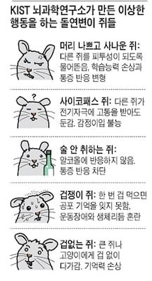 Kpaooao's tweet photo. 쥐라이시님 몇번이지 https://t.co/XAYETOrOvW