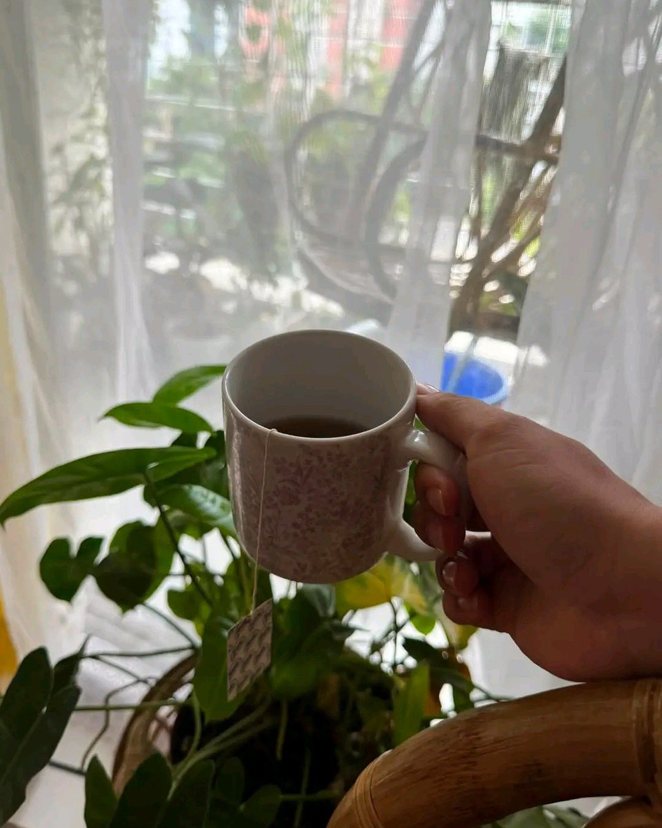 FloRabblxxg's tweet photo. The unseen care makes a home even more beautiful than it looks. https://t.co/gj4tZ8bHRI