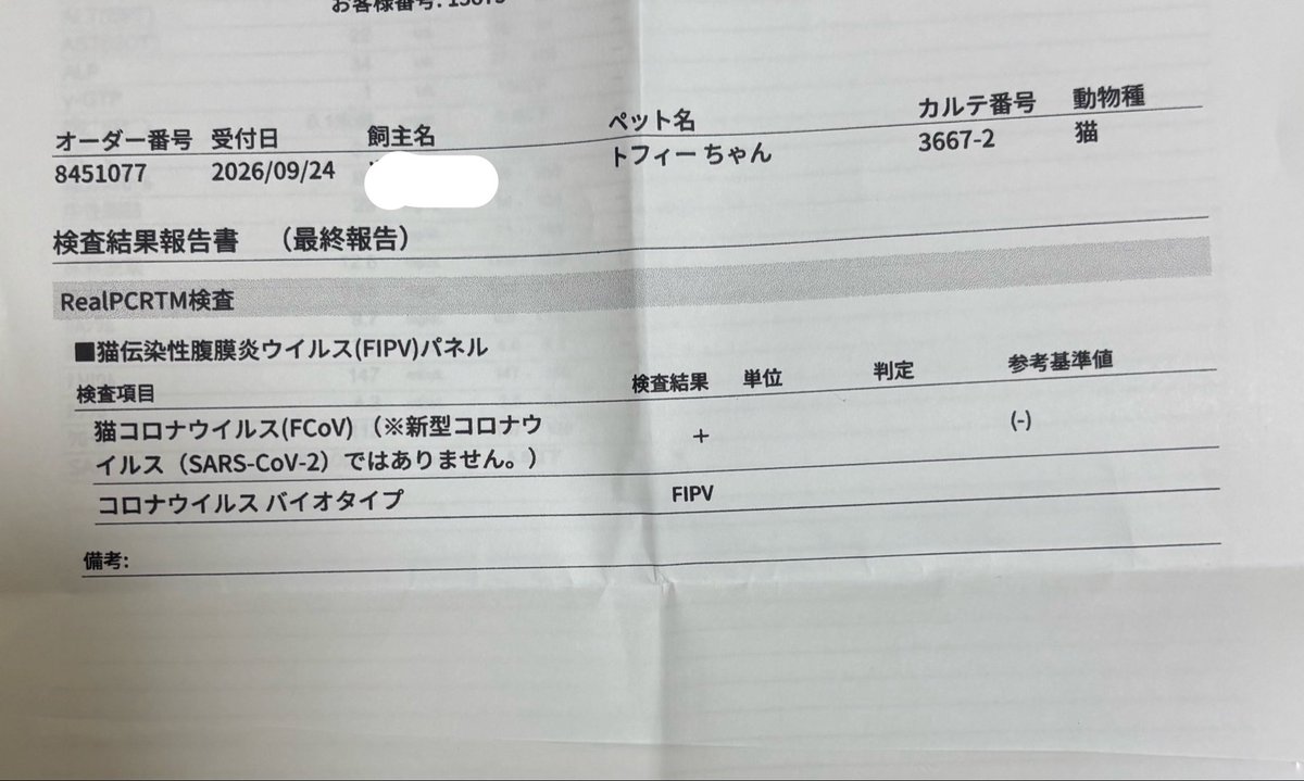 jra_star's tweet photo. 書類報告と抗ウイルス薬もらってきた
1.７キロのまだまだ小さい身体だけどしばらくは頑張ってもらうしかない💊
#FIP
#保護猫
#0.5日目 https://t.co/PXDkQF8uPQ