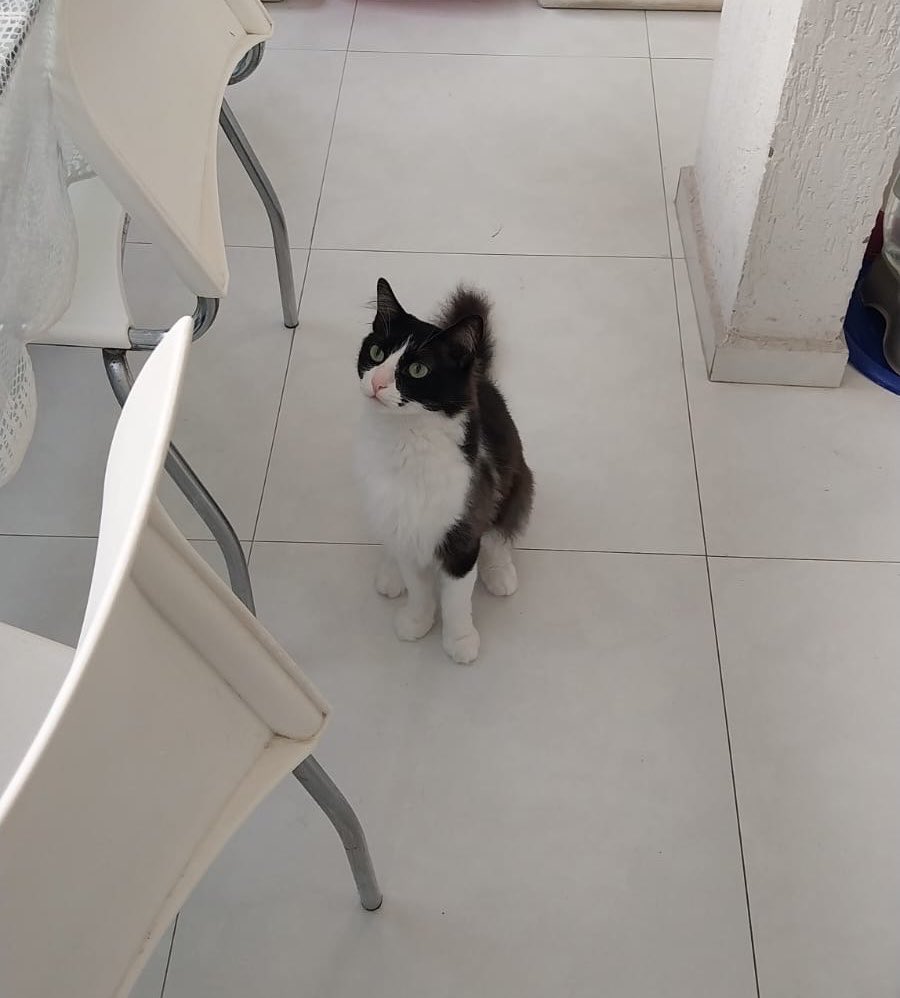 paulatpires's tweet photo. saudades do ex ❌
saudades dos filhos que seu ex levou ✅ https://t.co/7IfVcrrNqG