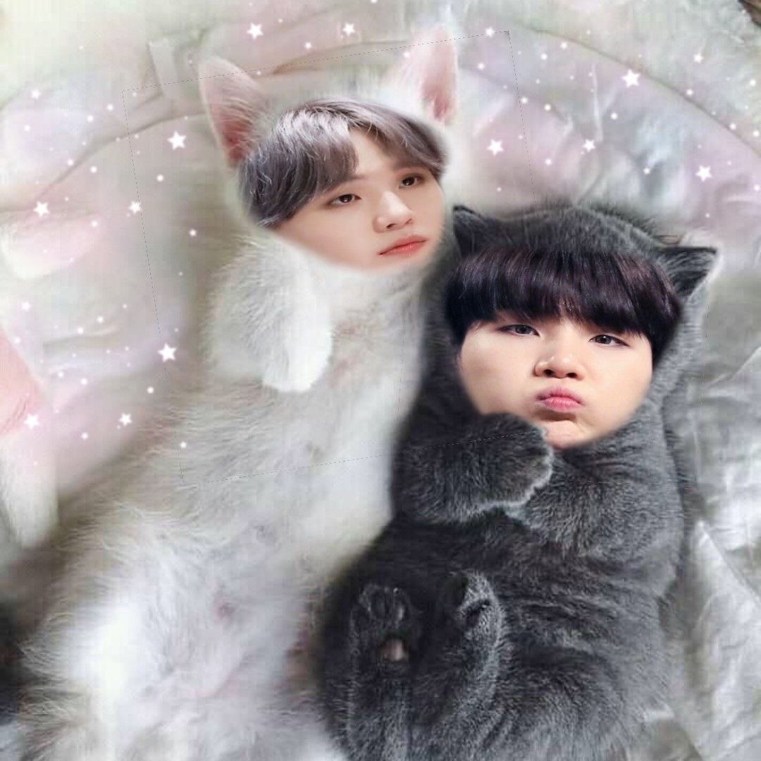 dubuttons's tweet photo. ⊹₊˚‧︵‿₊୨ᰔ୧₊‿︵‧˚₊⊹
𑣲 HAPPY LELENA DAY ! 
★: #bibilena4eva love u
para ಄ @froakiehao … !! https://t.co/5GfGQMy5bP