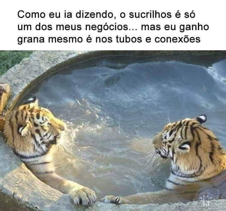 FilosofiaMderna's tweet photo. finalmente o tigrinho voltando a suas origens https://t.co/4AkpwPZoyB