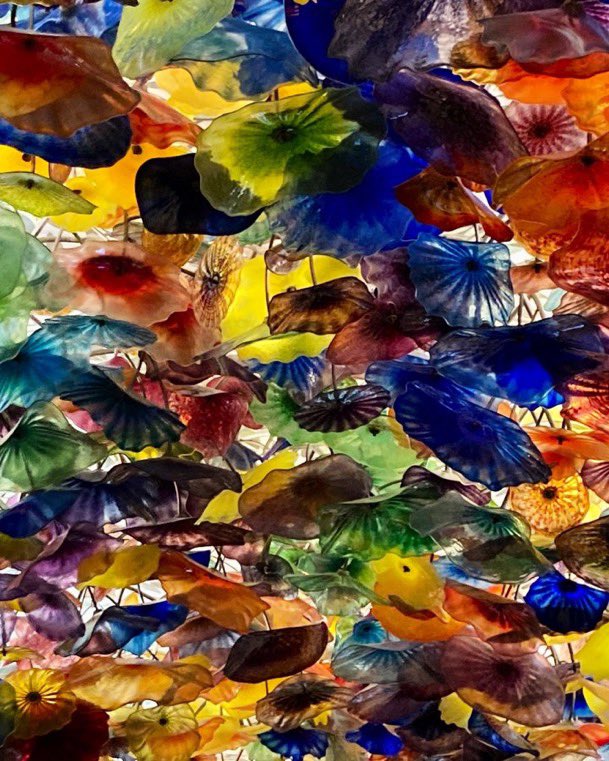 HuisJoyce's tweet photo. @DailyPicTheme2 #UpliftingColours. The ceiling at the Bellagio https://t.co/1RNTNNicHC