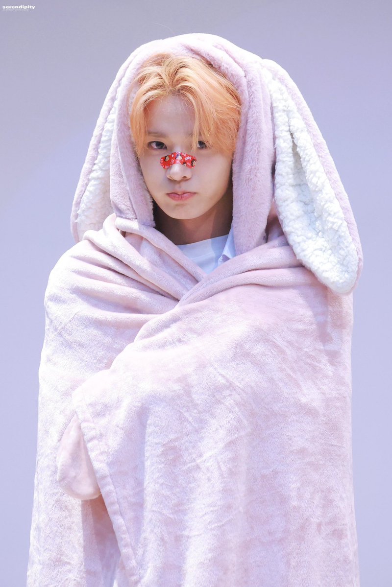 evahs115's tweet photo. 오늘 국제 토끼의 날이래
에바니데이🐰🐰 https://t.co/K4DRV5ApaX