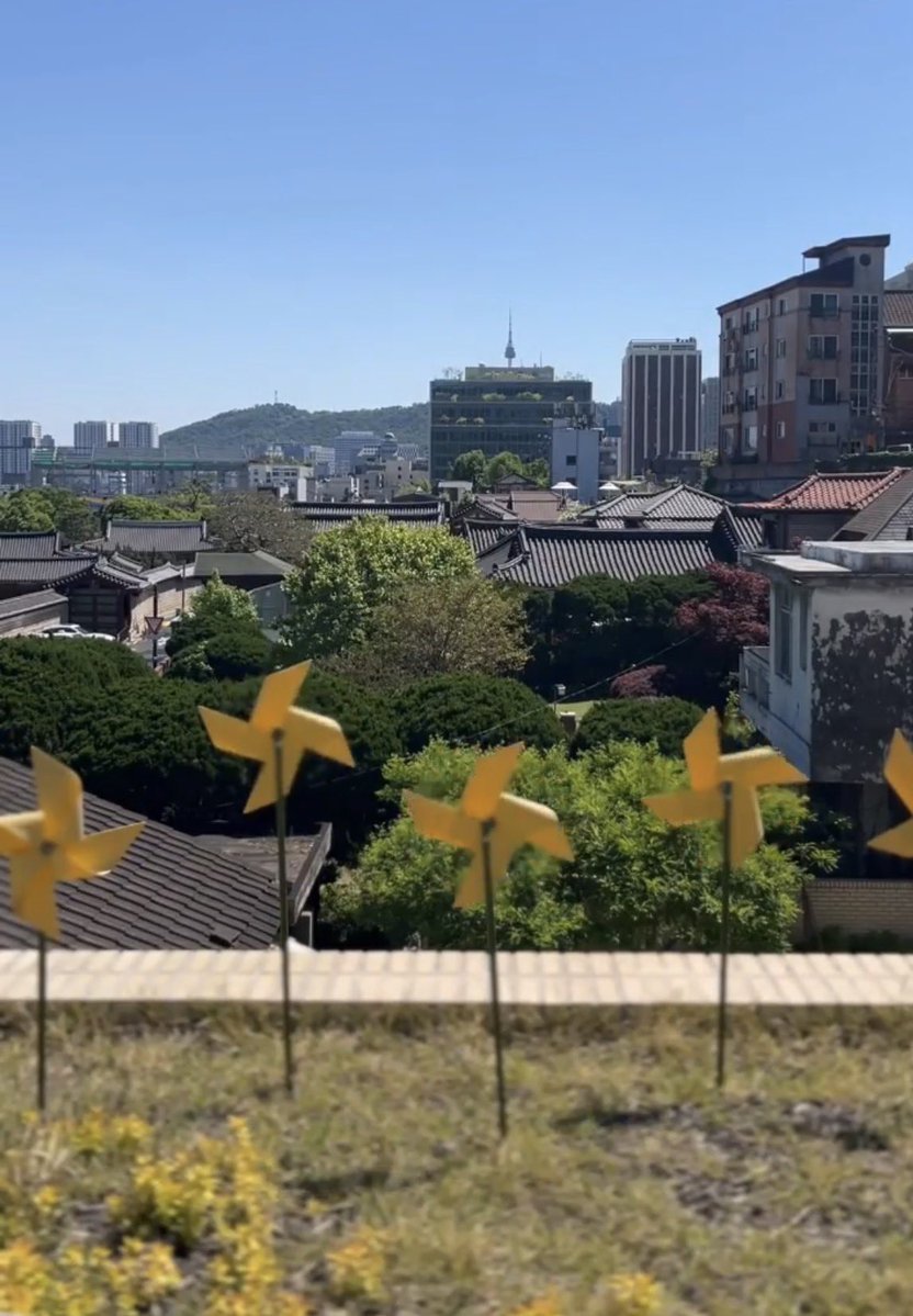 hmmmmmm1458's tweet photo. 안국역에있는 도서관 카공카페 추천
<마노커피 하우스>
2026 대한민국 커피맛집 선정
콜럼버스 가이드 선정

개인적으로 이렇게 공부하면서 바람 쐬는 공간 있고 한옥지붕 같이 전경 좋고 책도 많아야 완벽한 카공 장소라고 생각한다. https://t.co/Cj8HRjUcOQ