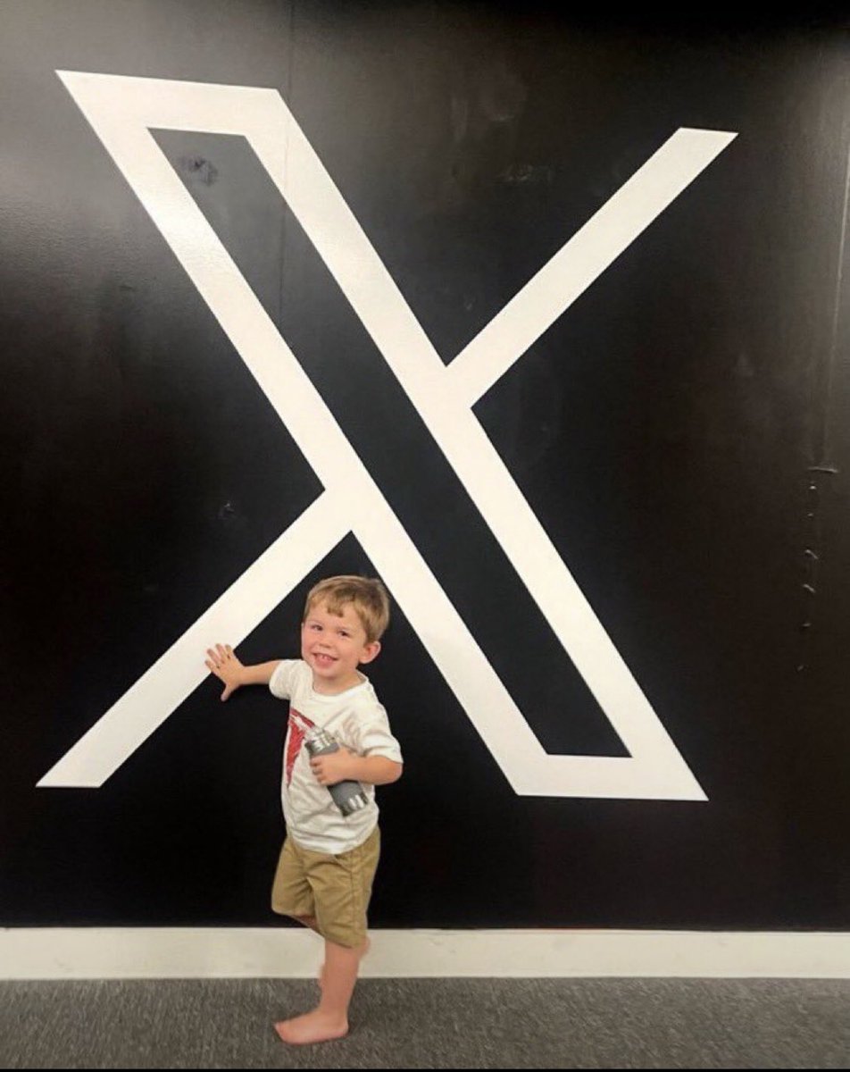 pekiboo's tweet photo. lil X 👼🚀 https://t.co/lx81RR6ehp